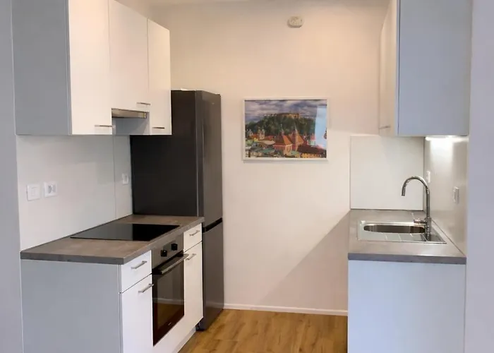 Apartment Rezidenca Kolezija